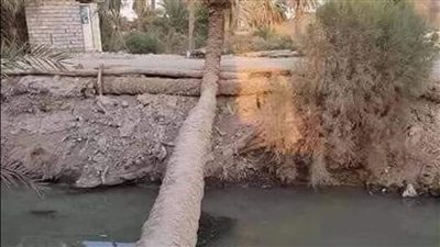 النخله التي رفض صاحبها باستدبدلها بنخله في الجنه