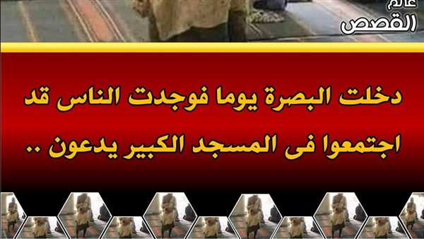 لمحة نيوز