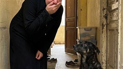 قصة اختفاء بنتي وسر الكلب الأسود ..من حكايات زهرة الربيع