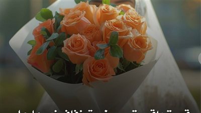 تقول: كانت تعيش حياتها مع زوجها بكل هدوء .. حياتهم مثالية
