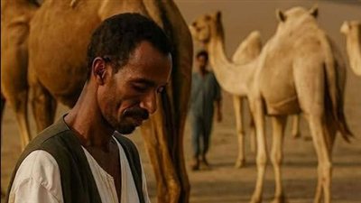 يقول صاحب القصة كان لابي قطيع كبير