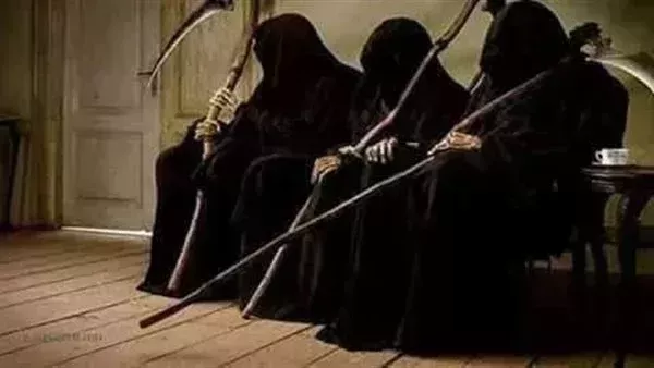 لمحة نيوز