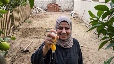جارتي الجديدة الكاتبة نور محمد