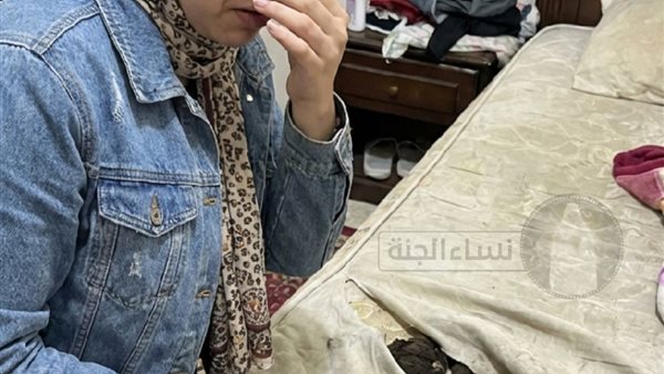 لمحة نيوز